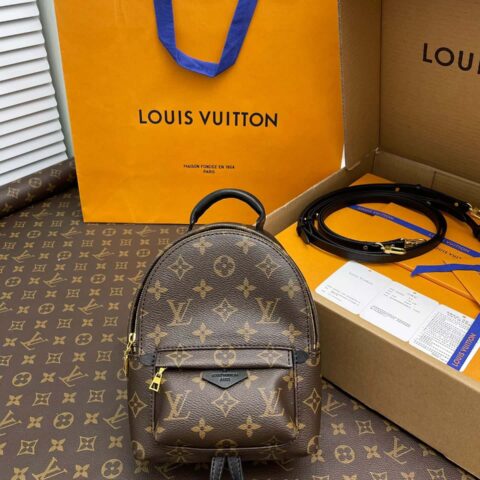 LV PALM SPRINGS 迷你双肩包 M44873