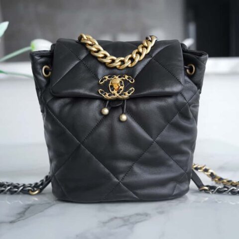 CHANEL 24C 19bag 双背包 AS4223