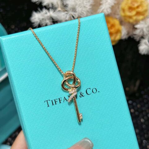 ❗️新品❗️ 新款☑️TIFFANY&Co. Woven半钻钥匙项链