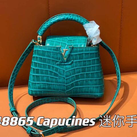 【原单精品】M48865绿色 鳄鱼纹全皮cap那英款系列 Capucines 迷你手袋