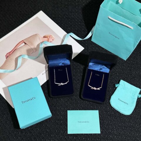❗️新品❗️ 新款☑️TIFFANY&Co.蒂芙尼tiffany knot满钻项链