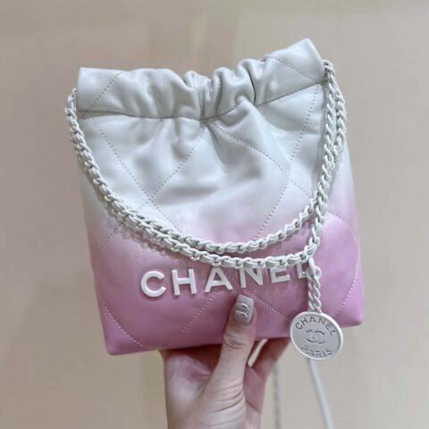 CHANEL 24S 春夏系列 全球限量版渐变 22 bag AS3980