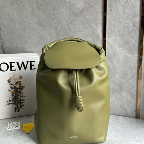 LOEWE 罗家新款双肩包🎒0903绿色