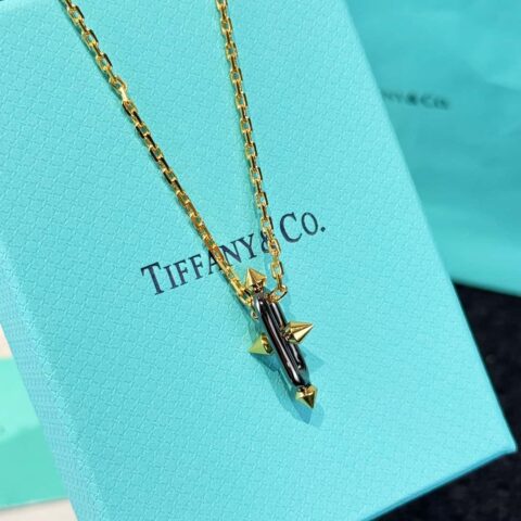 ❗️新品❗️ ☀️Tiffany&co 蒂芙尼Titan珠宝系列Tiffany Titan by Pharrell Williams 三叉戟枪黑色项链 ☀️