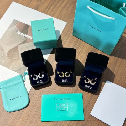 ❗️新品❗️ 新款☑️TIFFANY&Co.蒂芙尼T1圆形耳环耳钉