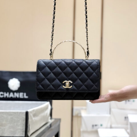 CHANEL 25s coco crush手柄WOC👜AP4579
