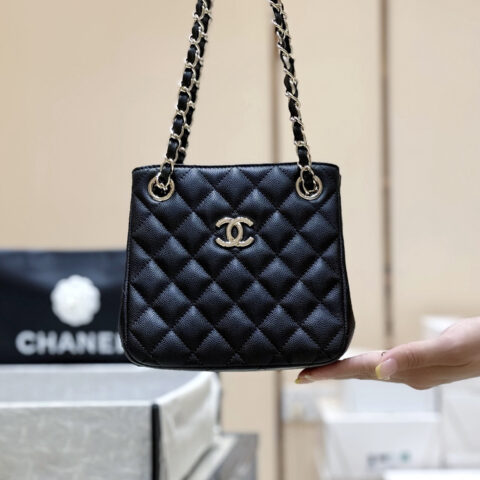 CHANEL 25C mini双链tote👜AS3176