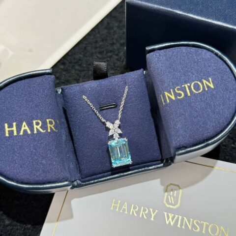 ☀️HARRY WINSTON  HW海瑞温时顿 海蓝宝项链