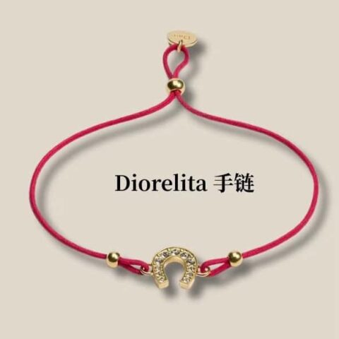 ❗️新品❗️迪奥限定镂空金飞马红绳  ☀️新款☑️ 迪奥DIOR马🐴年限定红绳飞马 ☀️