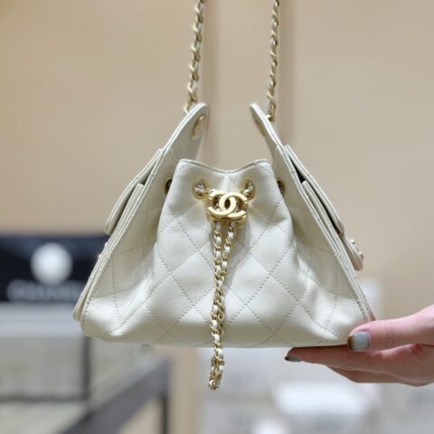 CHANEL 26C “25bag迷你”登场👜 AS5631